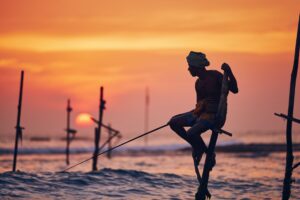 Traditional stilt fishing in Sri Lanka